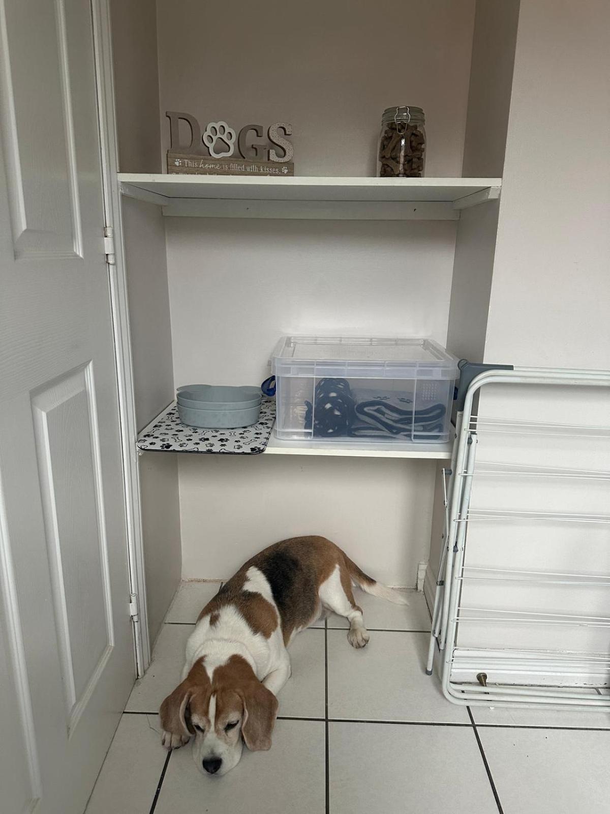 Hereford - Finch House - Modern 4 Bedroom House Located In South Hereford, Dog Friendly With Nearby Countryside, Pool Table, Sleeps Up To 10 Guests - Hosted By Rentmyhouse ภายนอก รูปภาพ